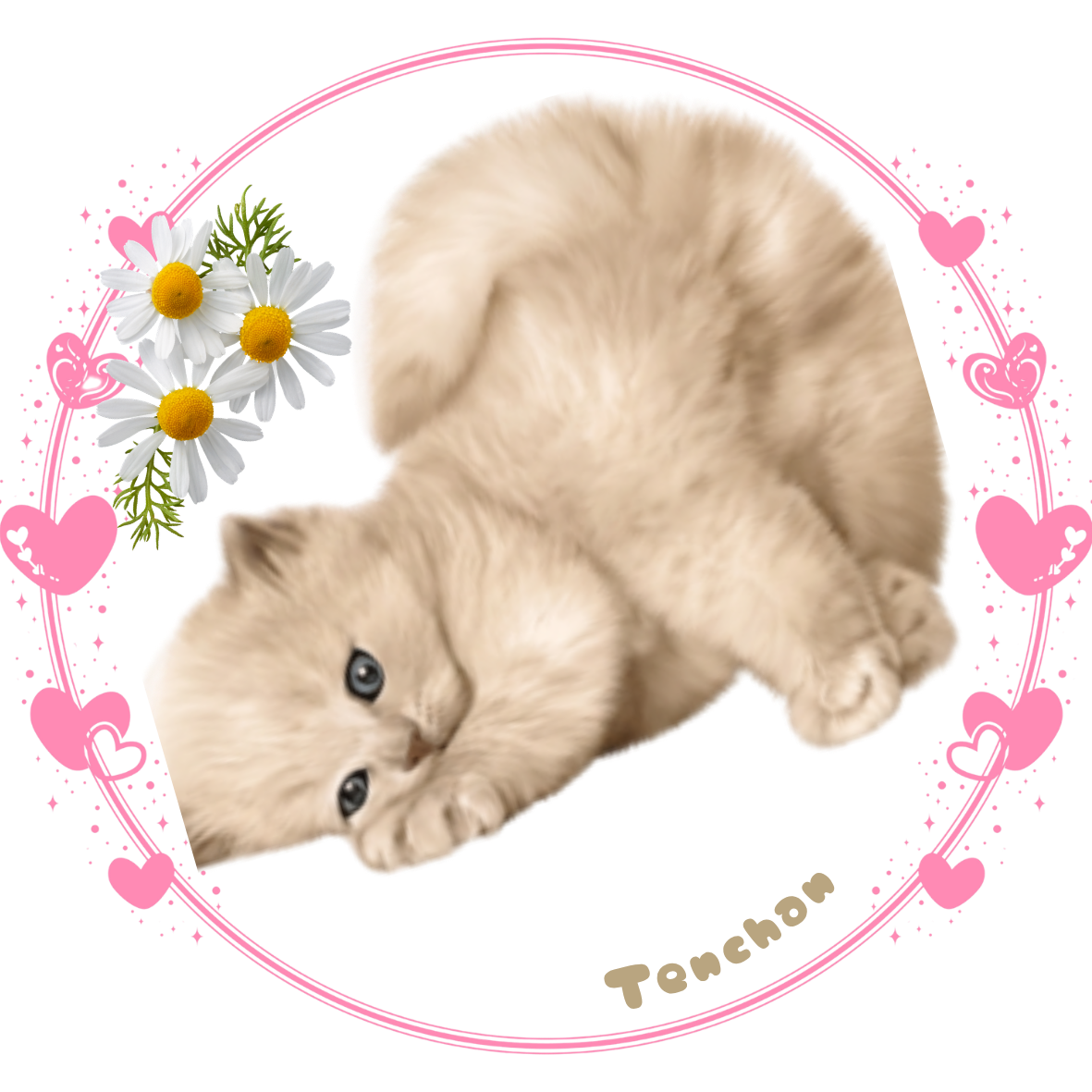 お花とハートに囲まれたてんちゃん